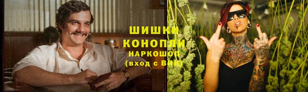 прущие грибы Нея