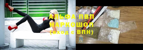 прущие грибы Нея