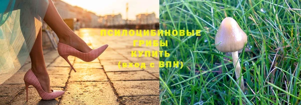 кокс Надым
