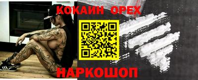 крисы Гусев