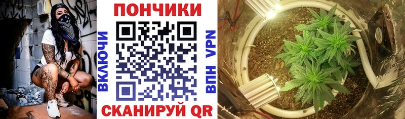 хочу   Малгобек  Бошки марихуана Bruce Banner 